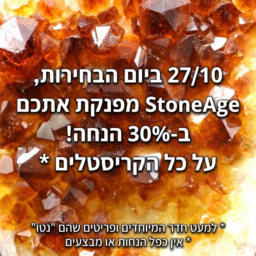 בחירות 26